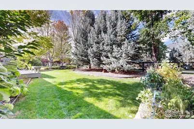 6546 Royal Country Down Dr, Windsor, CO 80550 - Photo 29