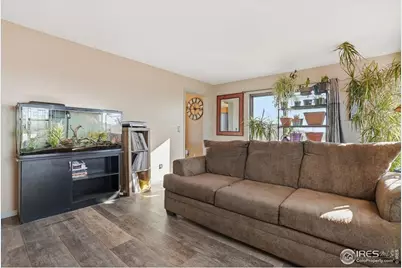 601 Red Mountain Rd, Livermore, CO 80536 - Photo 9