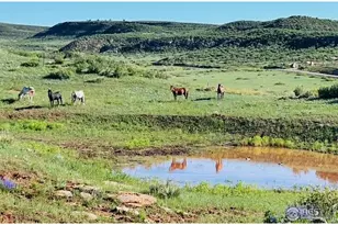 601 Red Mountain Rd, Livermore, CO 80536 - Photo 25