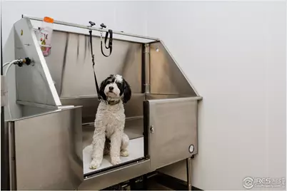 401 Linden St #3-336, Fort Collins, CO 80524 - Photo 41