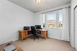 46 Sugar Beet Cir, Longmont, CO 80501 - Photo 17