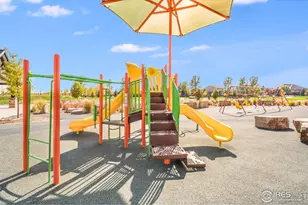 5894 Graphite St, Timnath, CO 80547 - Photo 47