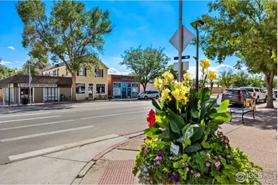 7437 Home Stretch Dr, Wellington, CO 80549 - Photo 37