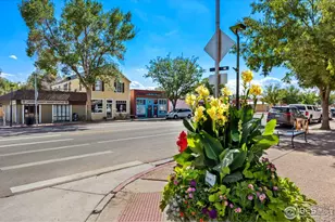7437 Home Stretch Dr, Wellington, CO 80549 - Photo 37