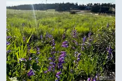 92 Hiawatha Hwy, Red Feather Lakes, CO 80545 - Photo 49