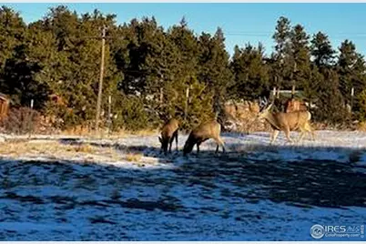 92 Hiawatha Hwy, Red Feather Lakes, CO 80545 - Photo 45