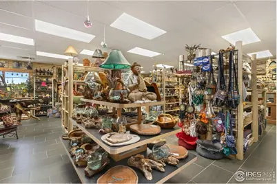 92 Hiawatha Hwy, Red Feather Lakes, CO 80545 - Photo 9