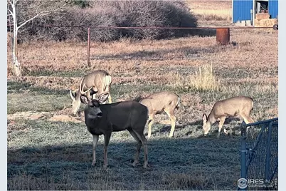 11837 County Road 39, Fort Lupton, CO 80621 - Photo 43