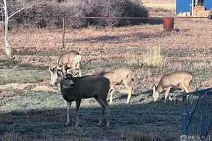 11837 Co Rd 39, Fort Lupton, CO 80621 - Photo 43