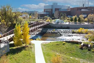 1003 Schlagel St, Fort Collins, CO 80524 - Photo 23