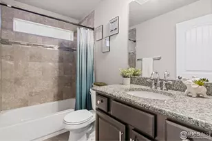 4560 Romney Lock Dr, Windsor, CO 80550 - Photo 21