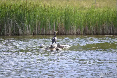 1249 Oak Island Ct, Fort Collins, CO 80525 - Photo 29
