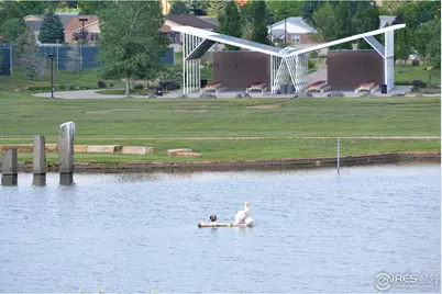 1249 Oak Island Ct, Fort Collins, CO 80525 - Photo 27