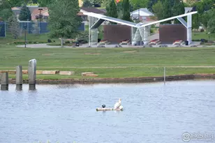 1249 Oak Island Ct, Fort Collins, CO 80525 - Photo 27