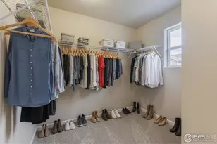 744 Wood Sorrel Ln, Fort Collins, CO 80524 - Photo 19