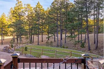 427 Wilderness Ridge Way, Bellvue, CO 80512 - Photo 47