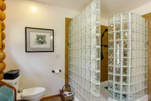 427 Wilderness Ridge Way, Bellvue, CO 80512 - Photo 33