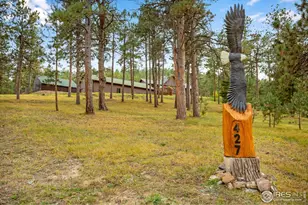 427 Wilderness Ridge Way, Bellvue, CO 80512 - Photo 3