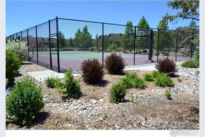 2078 Vineyard Dr, Windsor, CO 80550 - Photo 21