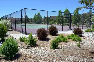 2078 Vineyard Dr, Windsor, CO 80550 - Photo 21