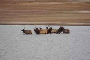 5418 Nantucket Ct, Loveland, CO 80537 - Photo 35