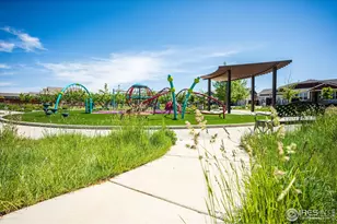 1995 Thundercloud Dr, Windsor, CO 80550 - Photo 33