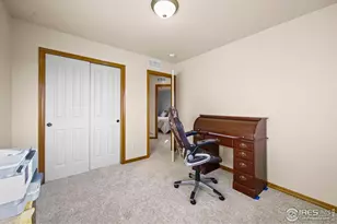 3724 Wine Cup St, Wellington, CO 80549 - Photo 23