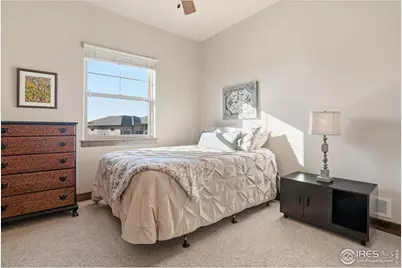 973 Skipping Stone Ct, Timnath, CO 80547 - Photo 19