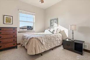 973 Skipping Stone Ct, Timnath, CO 80547 - Photo 19