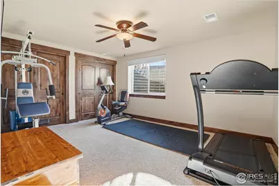 973 Skipping Stone Ct, Timnath, CO 80547 - Photo 35