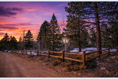 815 Cougar Run, Nederland, CO 80466 - Photo 3
