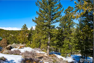 815 Cougar Run, Nederland, CO 80466 - Photo 13