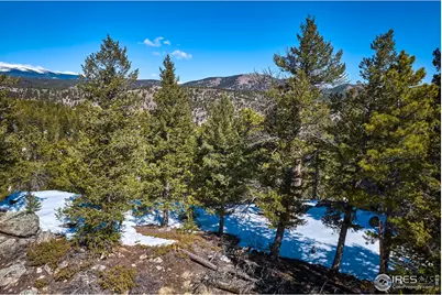 815 Cougar Run, Nederland, CO 80466 - Photo 11