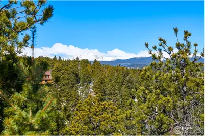815 Cougar Run, Nederland, CO 80466 - Photo 13