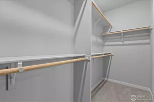 2769 Blue Iris Dr, Loveland, CO 80538 - Photo 27