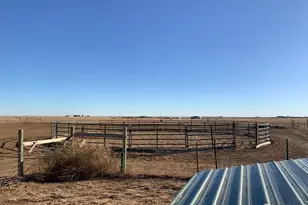 16498 County Rd 100, Nunn, CO 80648 - Photo 41