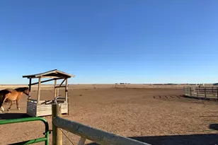 16498 County Rd 100, Nunn, CO 80648 - Photo 31