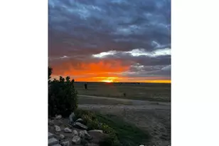 16498 County Rd 100, Nunn, CO 80648 - Photo 41