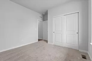 803 Mesic Ln, Windsor, CO 80550 - Photo 7