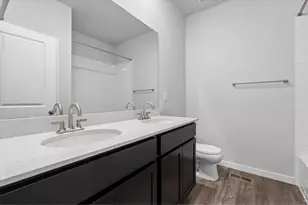 803 Mesic Ln, Windsor, CO 80550 - Photo 5