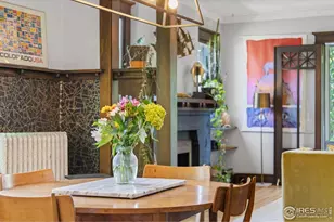 1217 N Downing St, Denver, CO 80218 - Photo 9