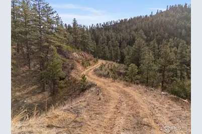 5771 Obenchain Rd, Laporte, CO 80535 - Photo 5