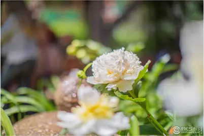 2447 20th St, Boulder, CO 80304 - Photo 31