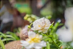 2447 20th St, Boulder, CO 80304 - Photo 31