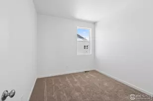 6390 Elk Pass Ln, Loveland, CO 80538 - Photo 29