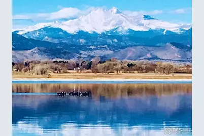 2961 Sonata Bay Ct, Longmont, CO 80503 - Photo 35