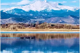 2961 Sonata Bay Ct, Longmont, CO 80503 - Photo 35