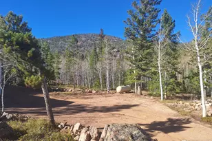 15 Spokane Ct, Red Feather Lakes, CO 80545 - Photo 3