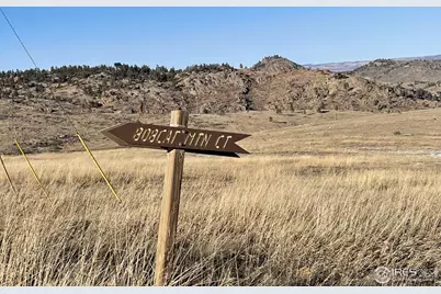 64 Bobcat Mountain Ct, Livermore, CO 80536 - Photo 9