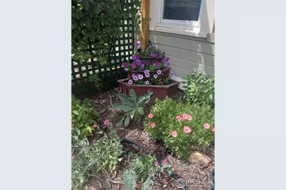 3730 Garfield Ave, Wellington, CO 80549 - Photo 19